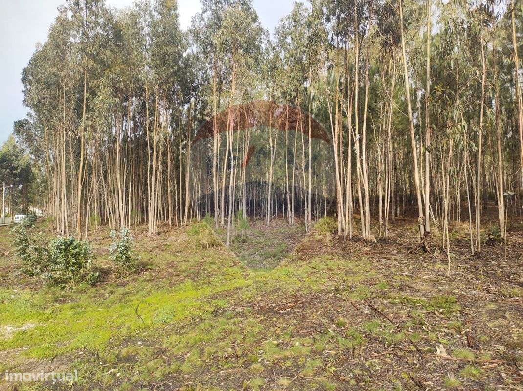 Terreno  para venda - Grande imagem: 2/7