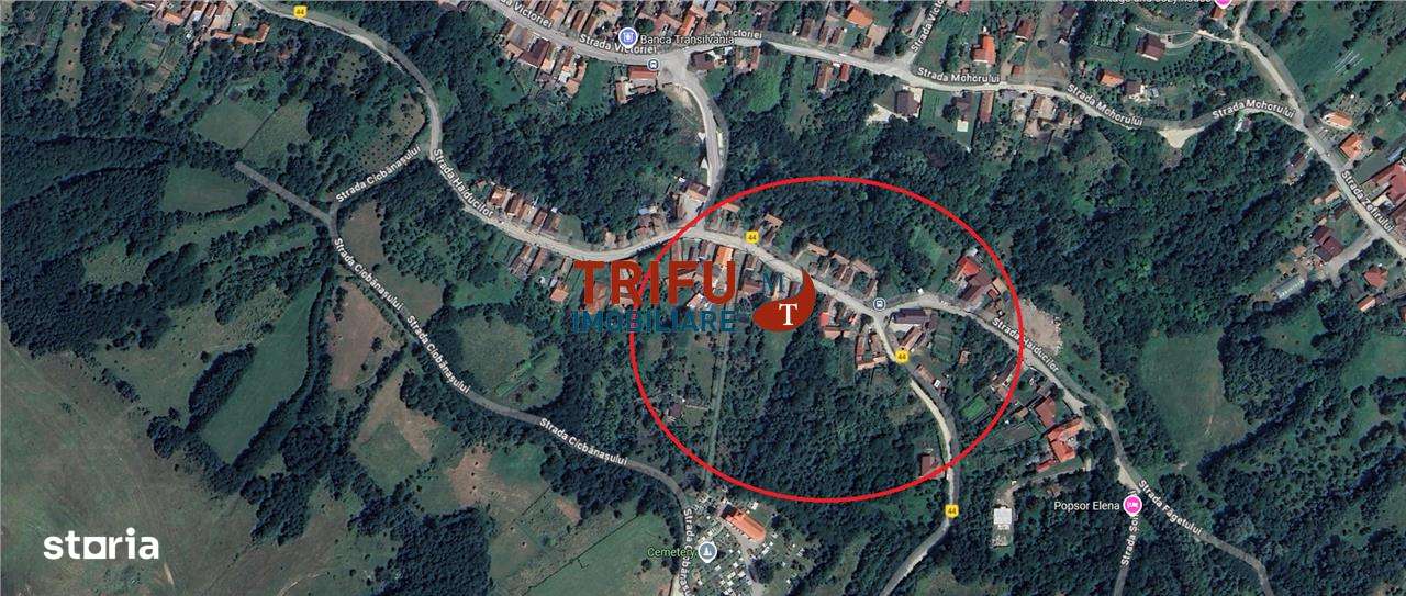 Teren Intravilan de Vânzare în Oarda - Imagine principală: 3/3