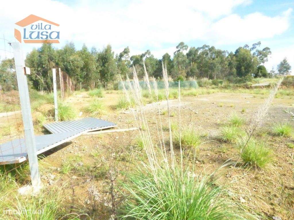 Terreno Nogueira da Regedoura, plano Industrial para Construção de ... - Grande imagem: 5/16