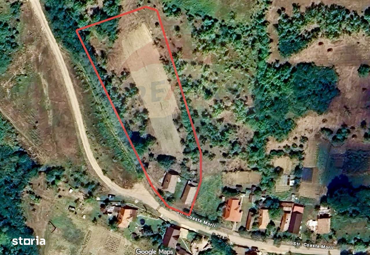 Teren Intravilan 4900mp Dabaca - Cluj - Proiect Turism Rural-3