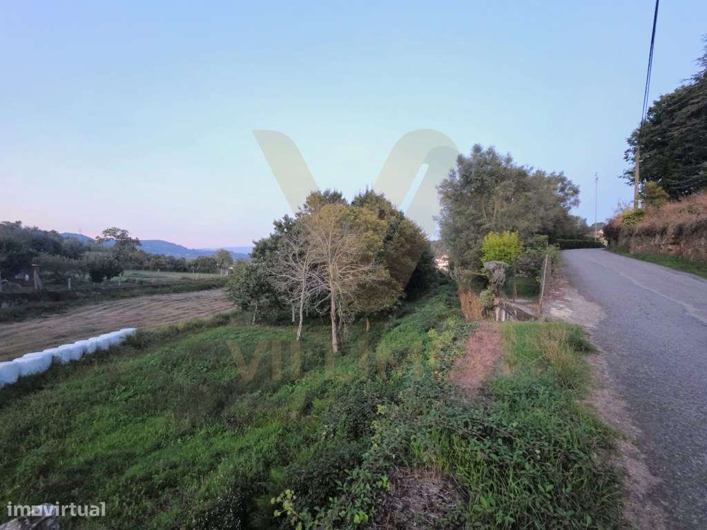 Terreno Agrícola com 3587 m² - S. Martinho da Gandra, Ponte de Lima - Grande imagem: 2/4