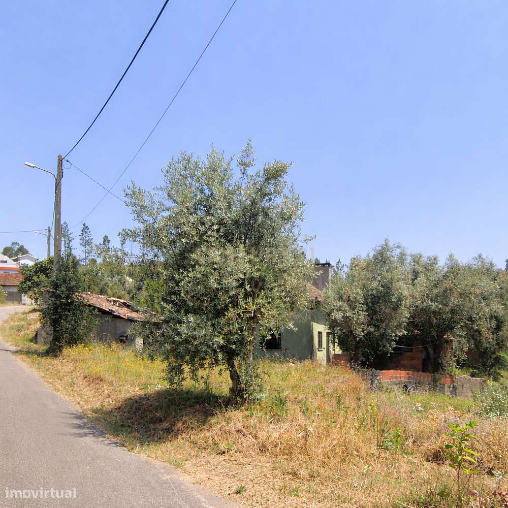 Casa de Campo no centro do país. Remodele o seu sonho! - Grande imagem: 5/11