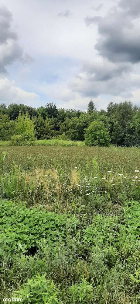 Konstantynów Łódzki. Działka w otoczeniu nowych domów-4