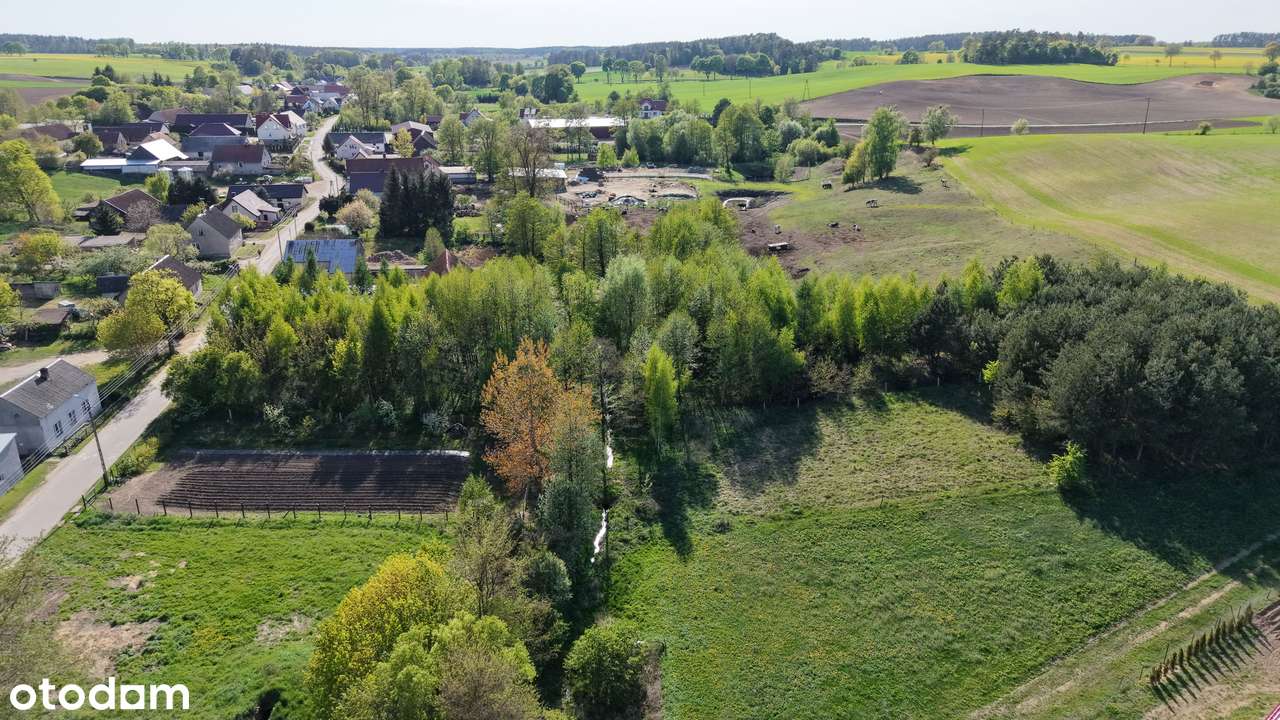 dom i działka 98ar (las, pole, strumień) - Pełny obrazek: 5/20