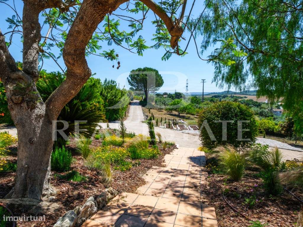 Encantadora Casa de Campo T5 com vista ampla para o campo - Jardim,...-23