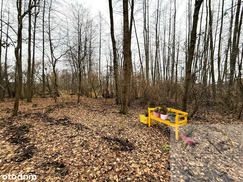 Działka na sprzedaż Mariew Stare Babice blisko las - Pełny obrazek: 4/7