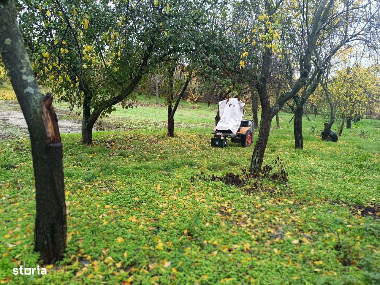 teren intravilan Ghercesti,utilitati,33m deschidere,1550 mp - Imagine principală: 4/5