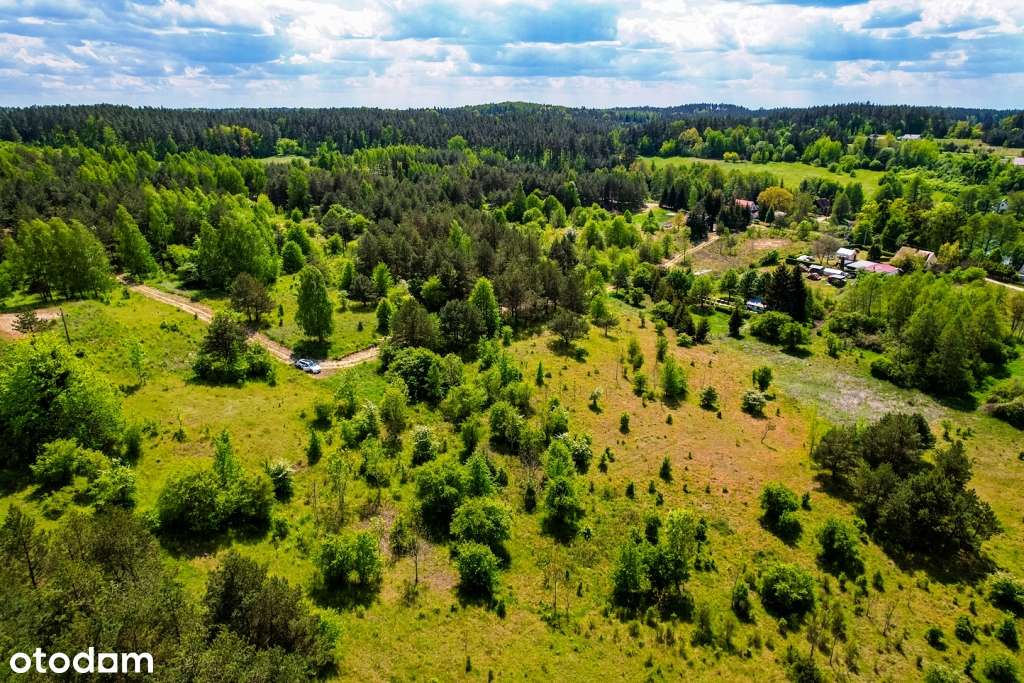 Działki budowlane w otoczeniu drzew  z dostępem do jez. Buwełno-13