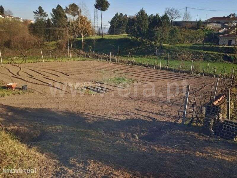 Moradia T1 / Marco de Canaveses, Constance - Grande imagem: 5/5