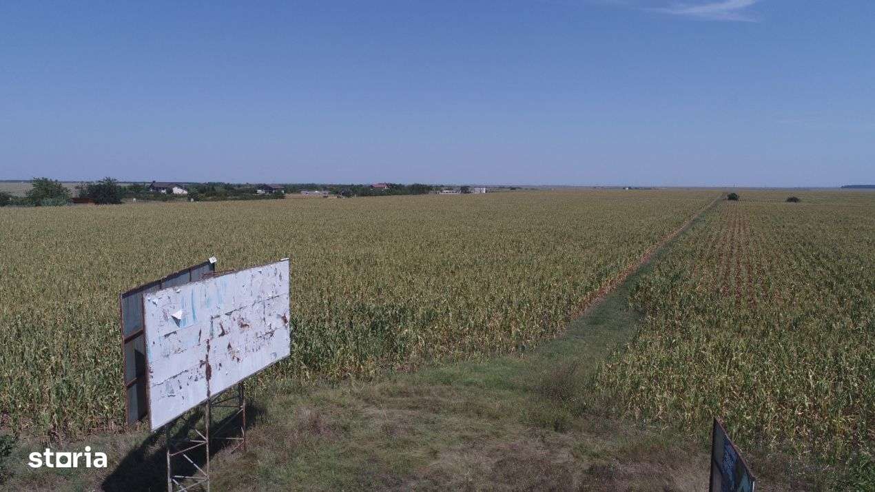 TEREN INTRAVILAN FUNDULEA 63.000 MP  , jUD. CALARASI DE VANZARE - Imagine principală: 3/5