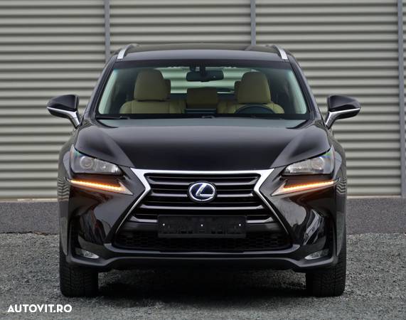 Lexus Seria NX 300h Executive Line - 14