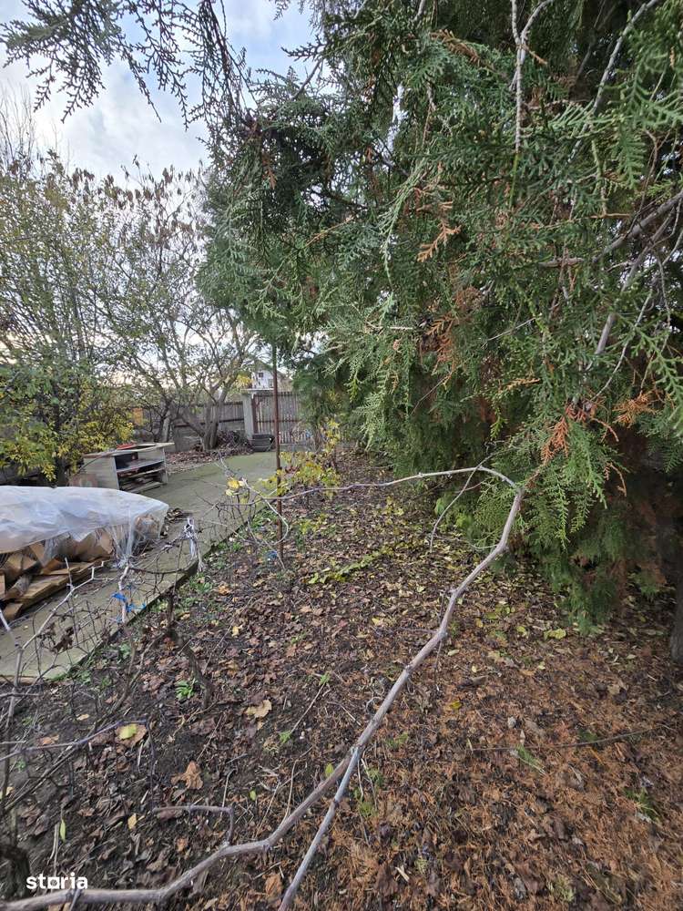 Exclusivitate! Proprietate Sendreni, zona linistita, 69.000 EUR-13