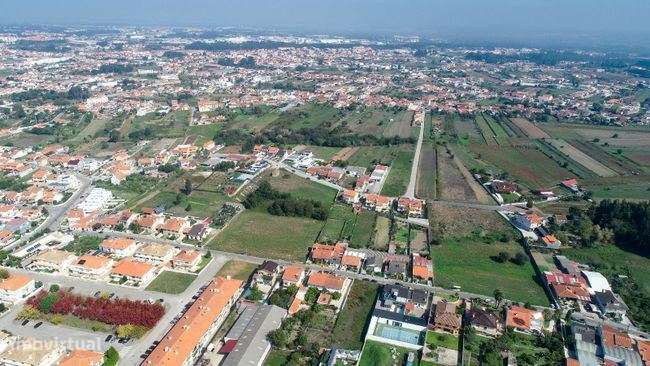 Terreno rústico, para venda, Aveiro - S. Bernardo - Grande imagem: 4/6