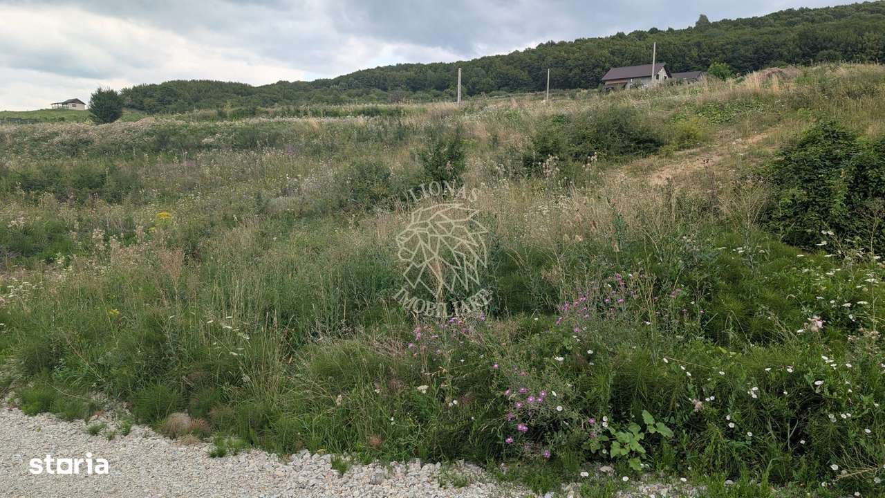 Teren 1000 mp cu utilitati-ideal casa, cabana, investitie-Dealul Jelne - Imagine principală: 1/5