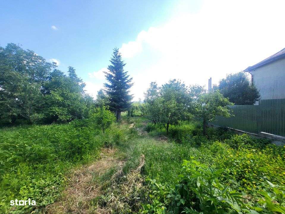 Teren Electricienilor Bacau - Imagine principală: 3/6