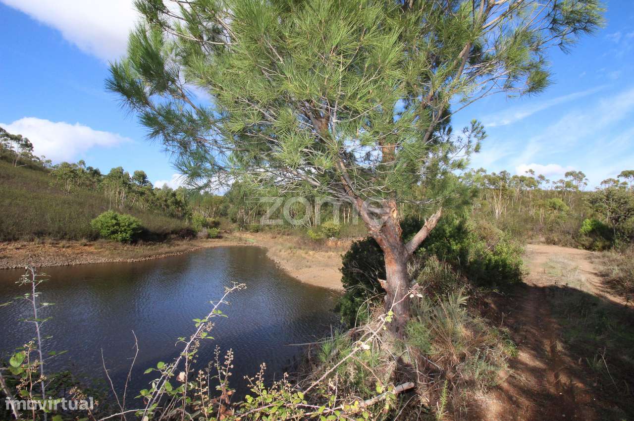 Terreno Rústico com Açude – Senhora do Verde, Portimão - Grande imagem: 5/16