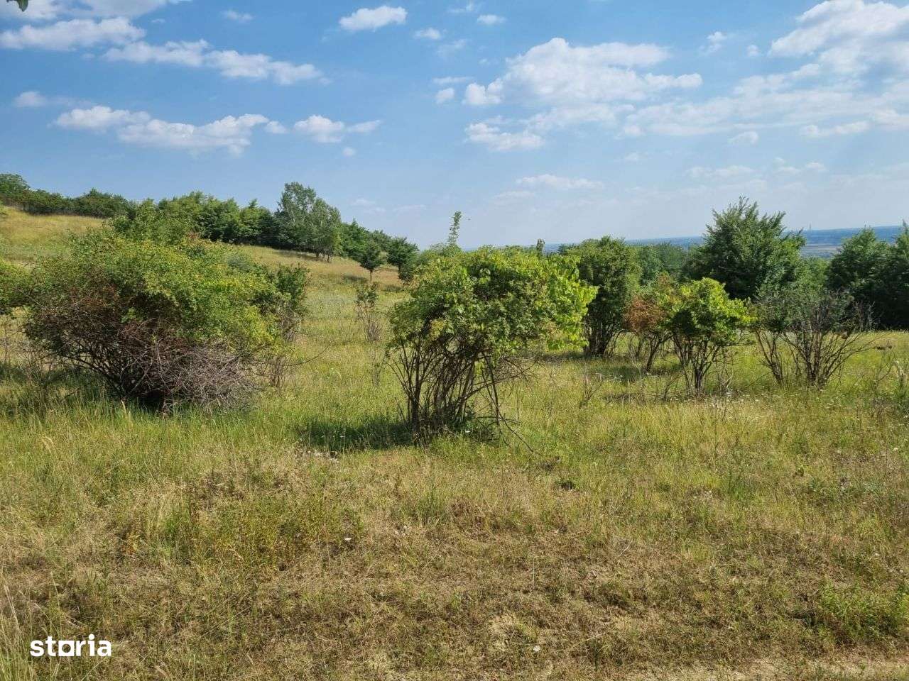 Teren Boldesti - Casa Seciu-1