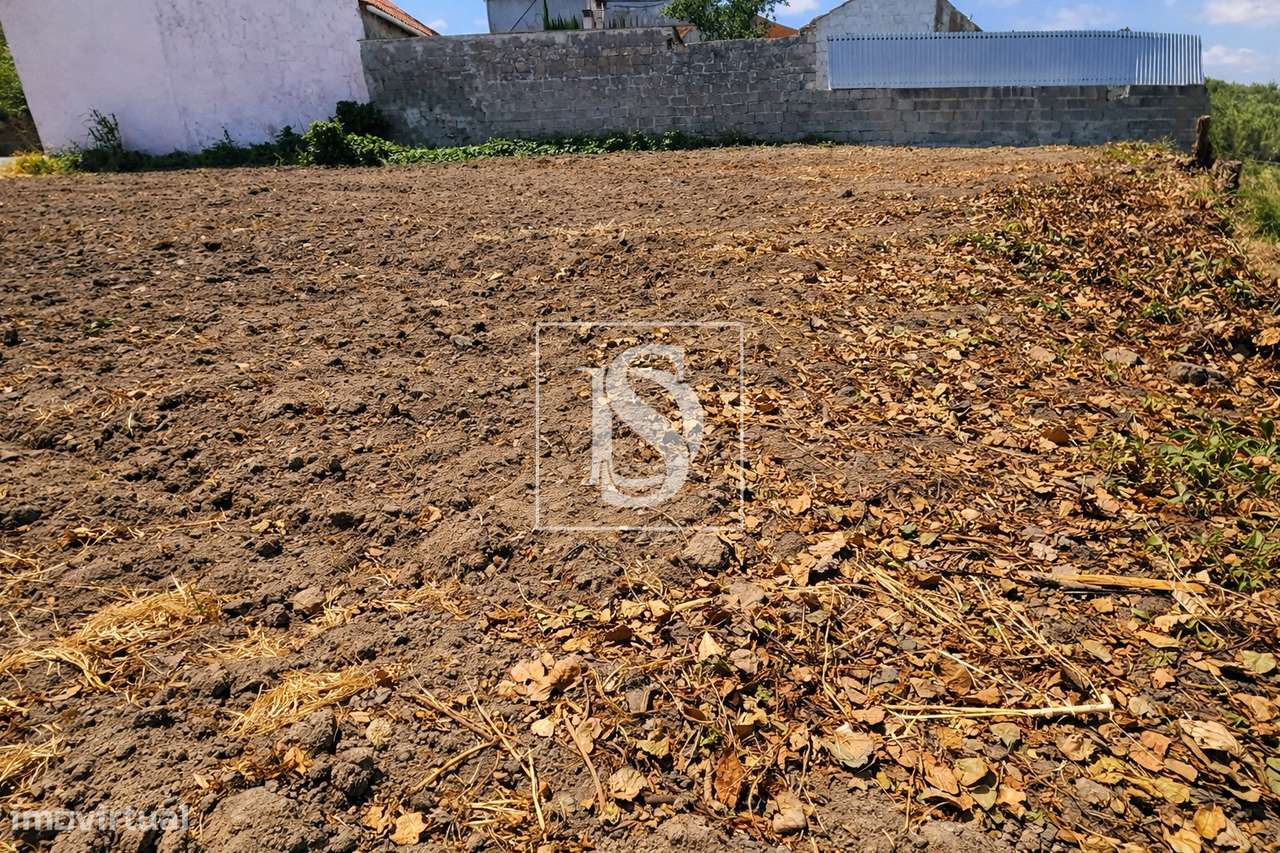 Terreno Para Construção  Venda em Alqueidão,Figueira da Foz-15