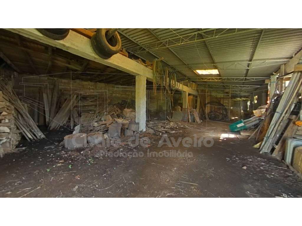 Quinta com 5.000 m2 e casa habitação T5 em Águeda-42