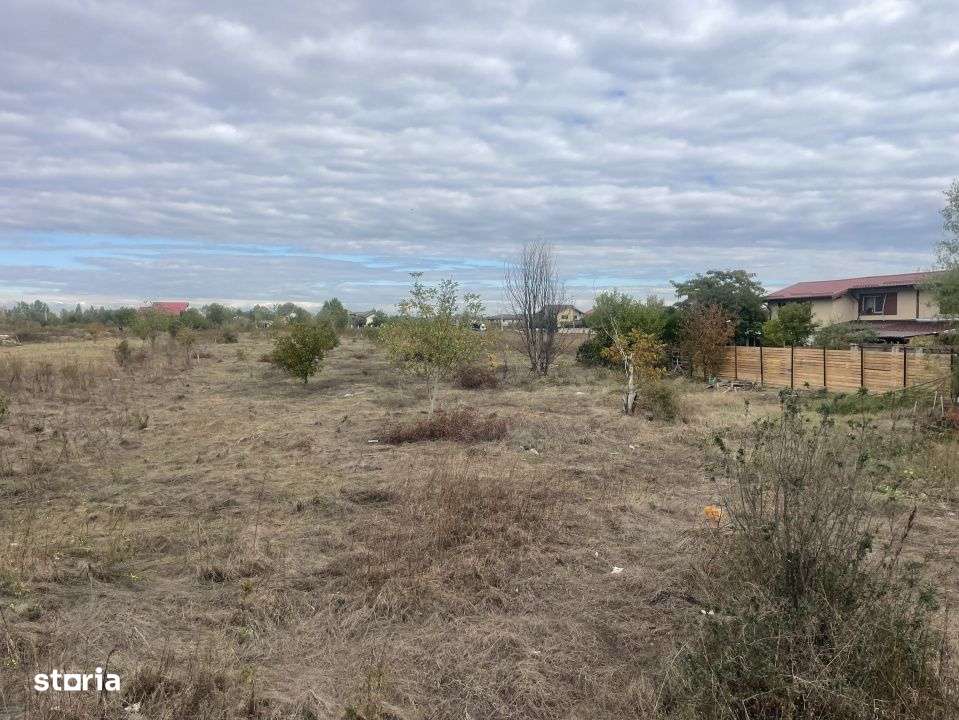 Domnesti, Drumul Targului, teren 3752 mp, 129ml x 29 ml, utilitati la-5