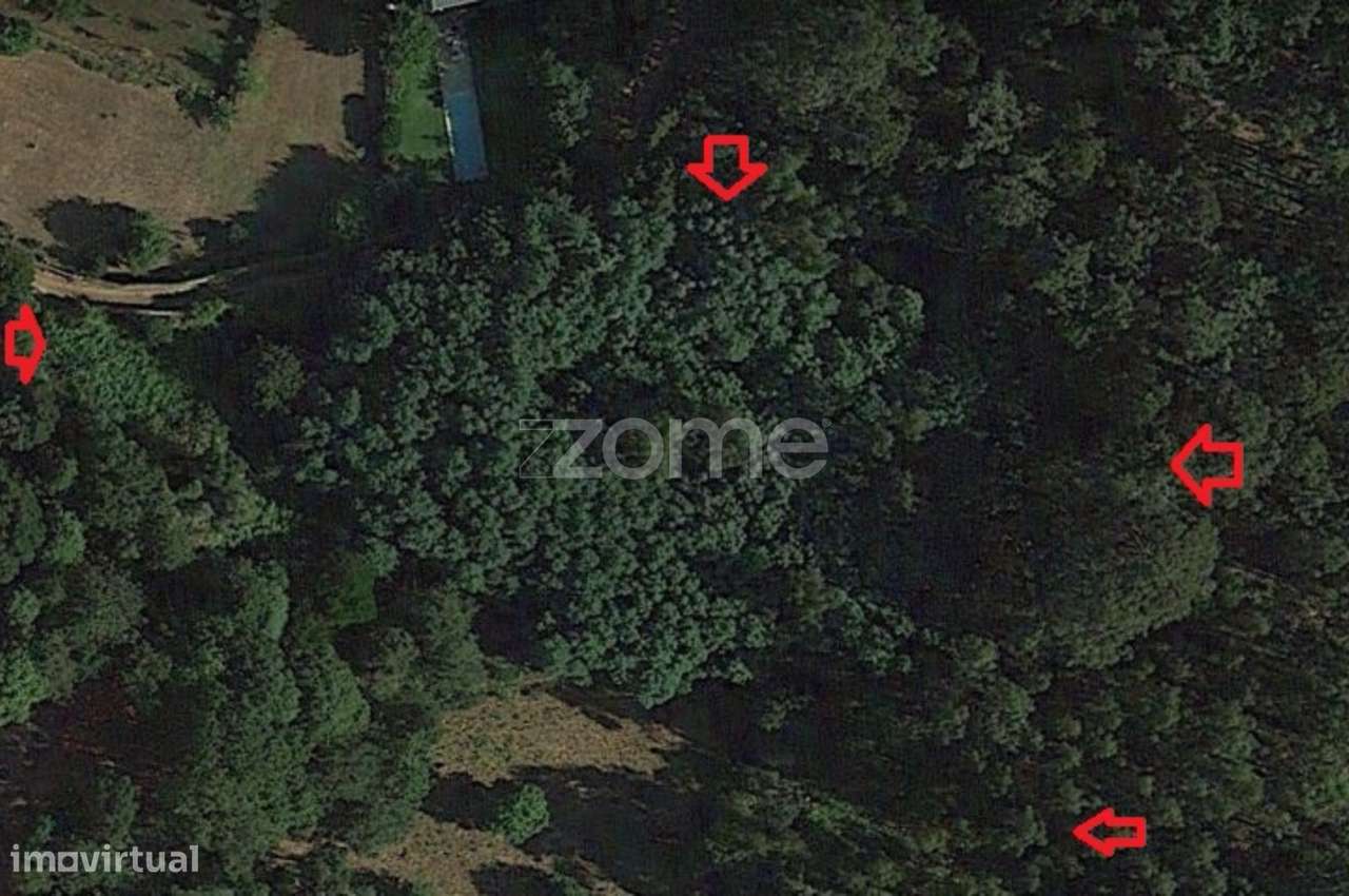 Terreno em Caminha com Vista para a Foz do Rio Minho - Grande imagem: 4/46