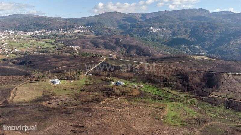 Terreno / Seia, Torrozelo e Folhadosa - Grande imagem: 5/17