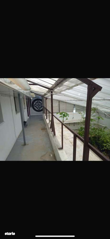 Casă cu piscină în inima Bucurestiului  305mp utili, 600 mp teren.-5