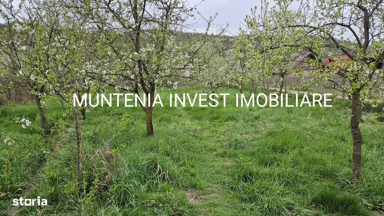 Teren 2658 mp. intravilan, Com. Bogați, sat Glambocelu - Imagine principală: 5/12