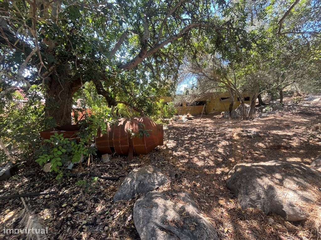 Quinta com duas casas, vistas para o mar e 11.940 m² de terreno em ...-18