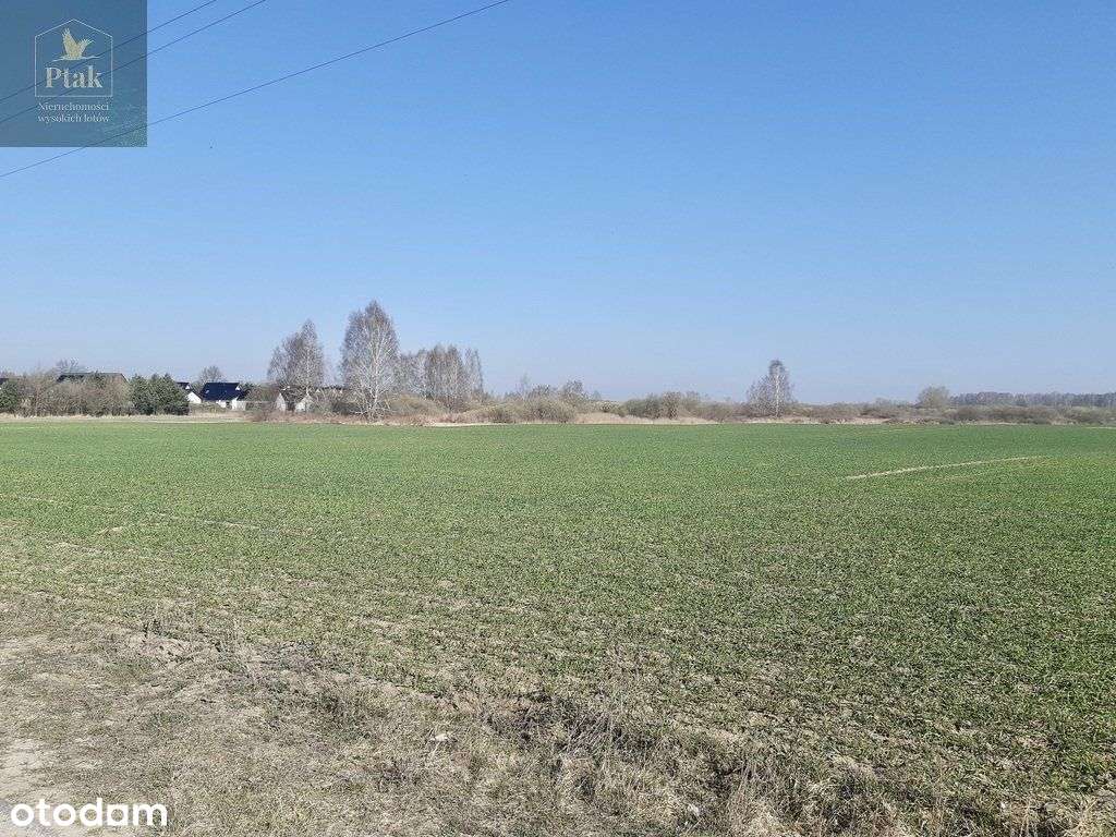 Narożna-Budowlana-wszystkie media-blisko lasu i S5 - Pełny obrazek: 5/9