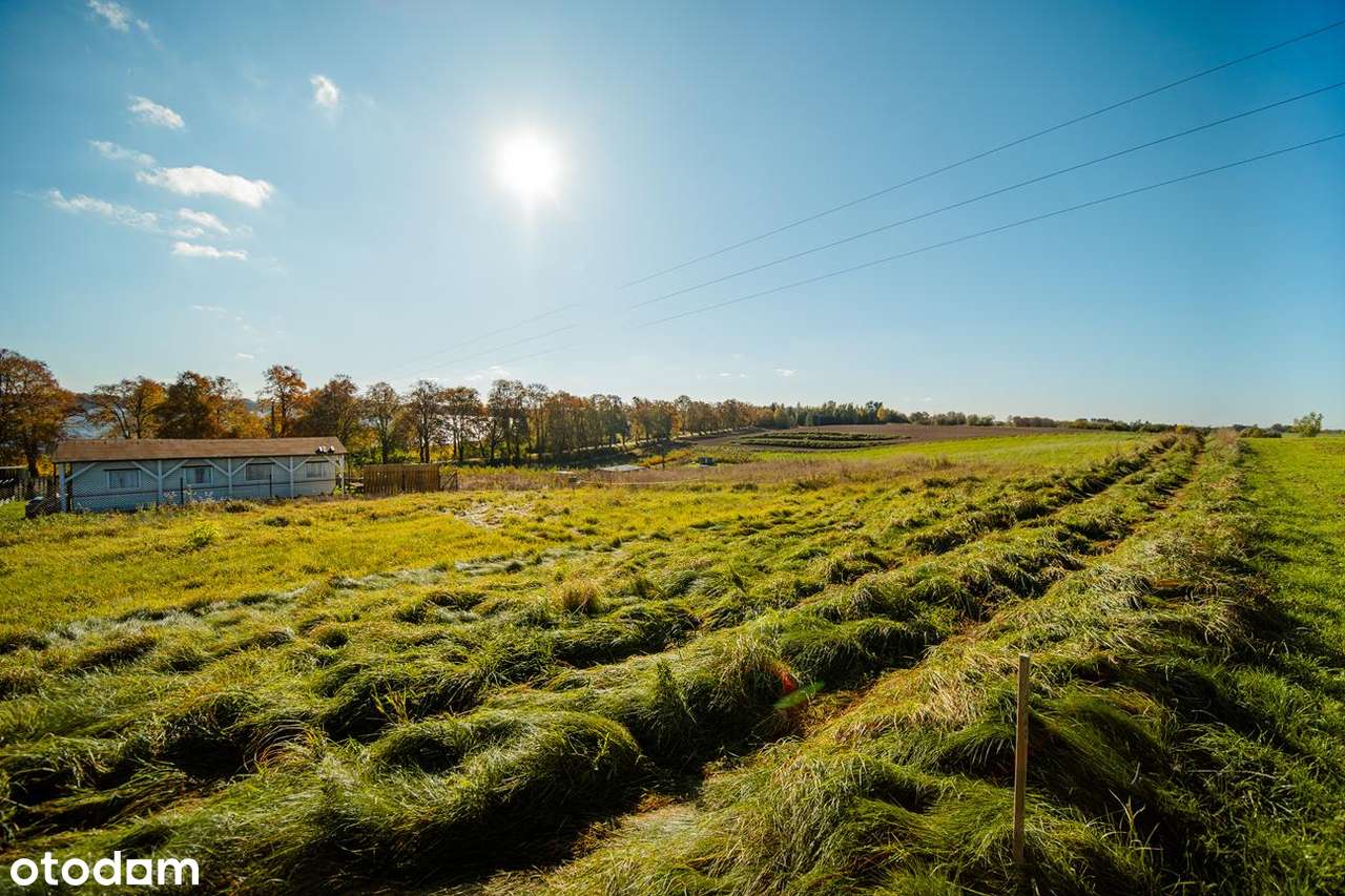 Ostatnie działki z widokiem na jezioro Dzierzgoń!-12