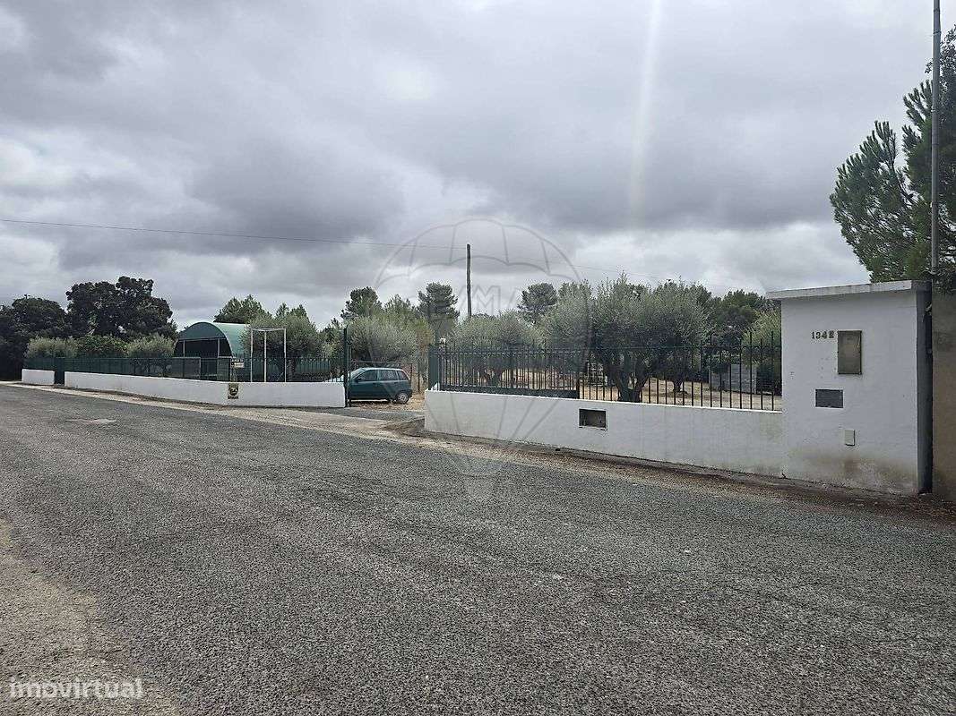 Armazém  para arrendamento - Grande imagem: 2/29