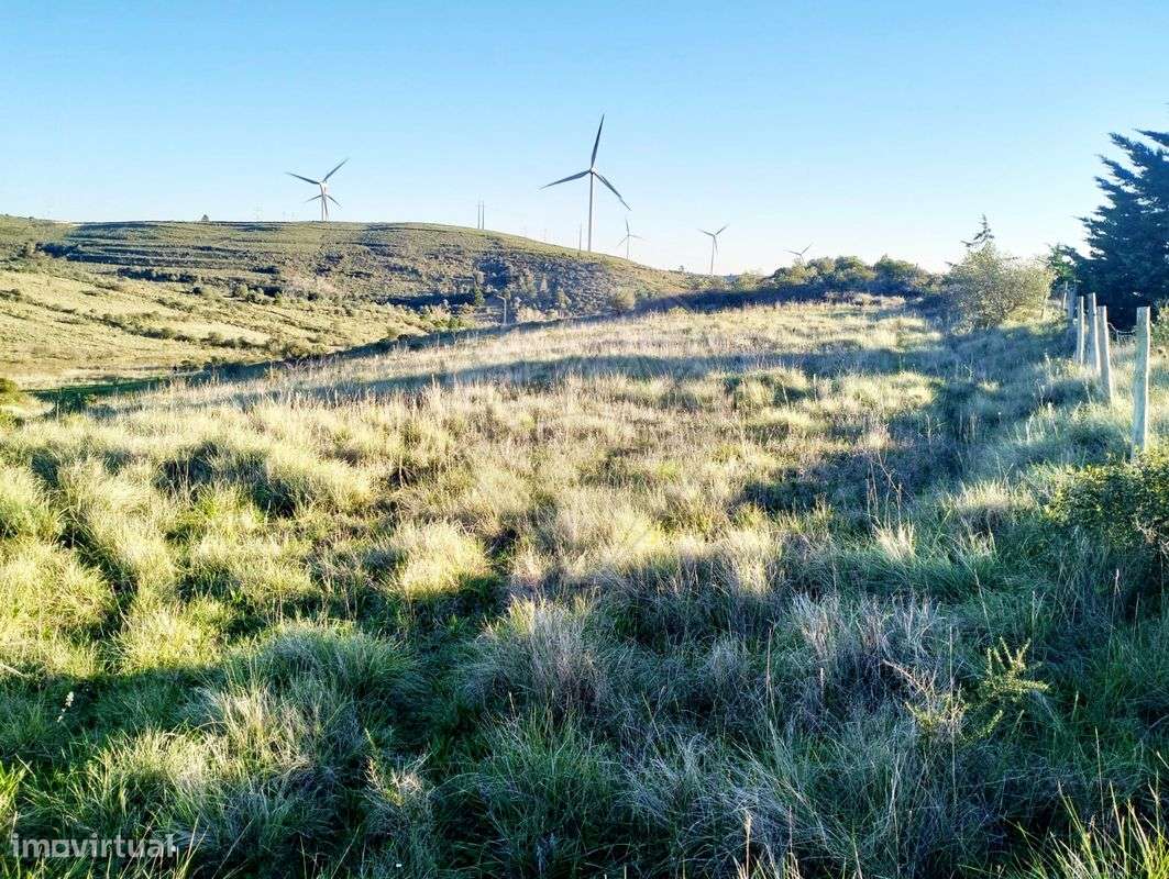 Terreno  para arrendamento - Grande imagem: 5/10