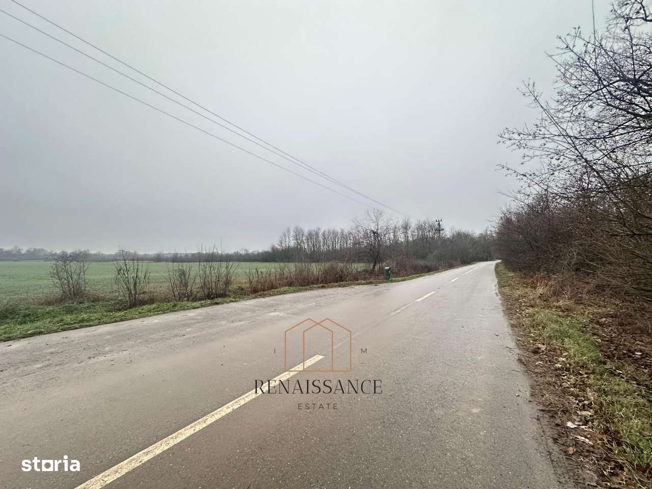 Giroc Teren 30.000mp PUZ APROBAT Pentru Case | Asfalt - Langa Padure - Imagine principală: 4/7