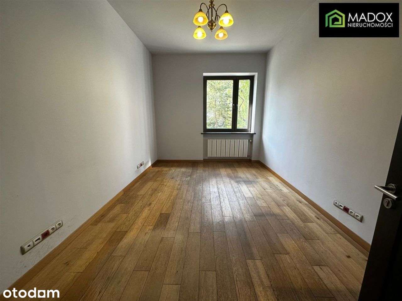 Lokal w Centrum z parkingiem; - Pełny obrazek: 5/11