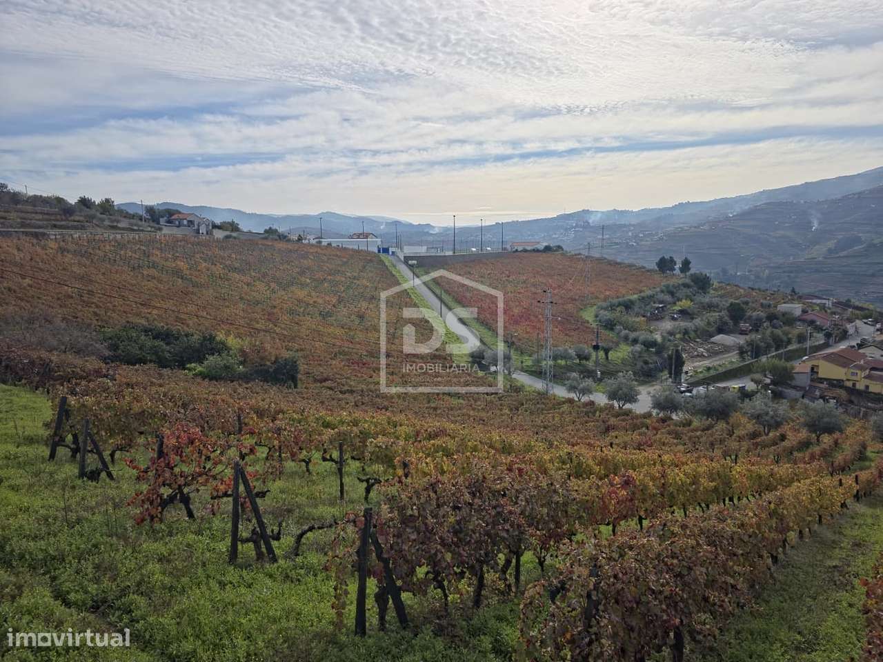 Quinta T4 Venda em Fontelas,Peso da Régua-36