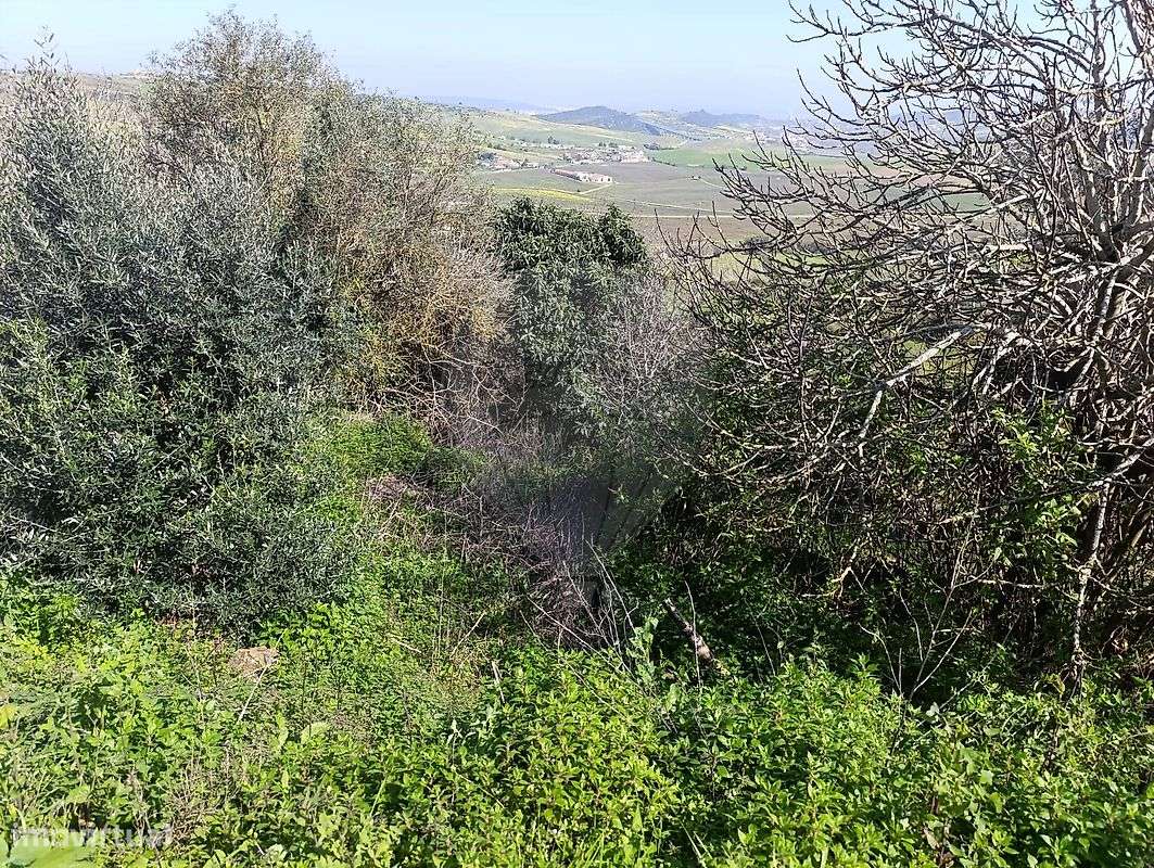 Terreno  para venda - Grande imagem: 5/5