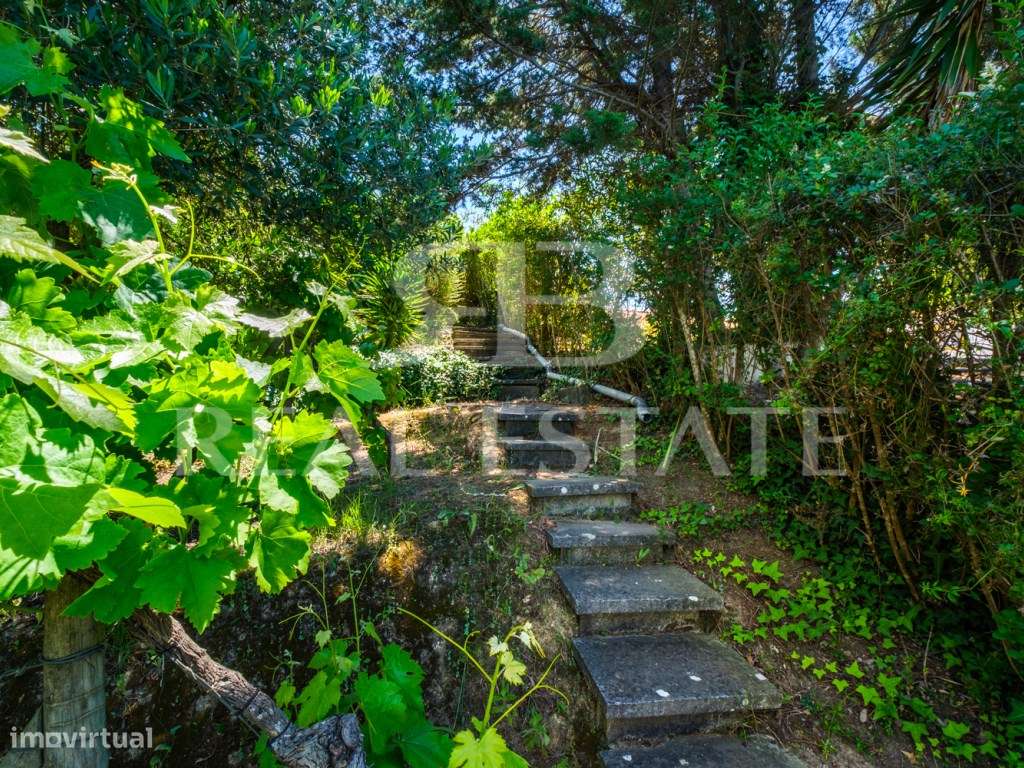 Encantadora Casa de Campo T5 com vista ampla para o campo - Jardim,...-51