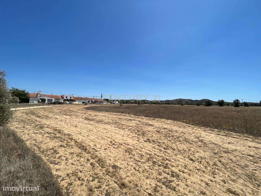 Terreno - Grande imagem: 4/23