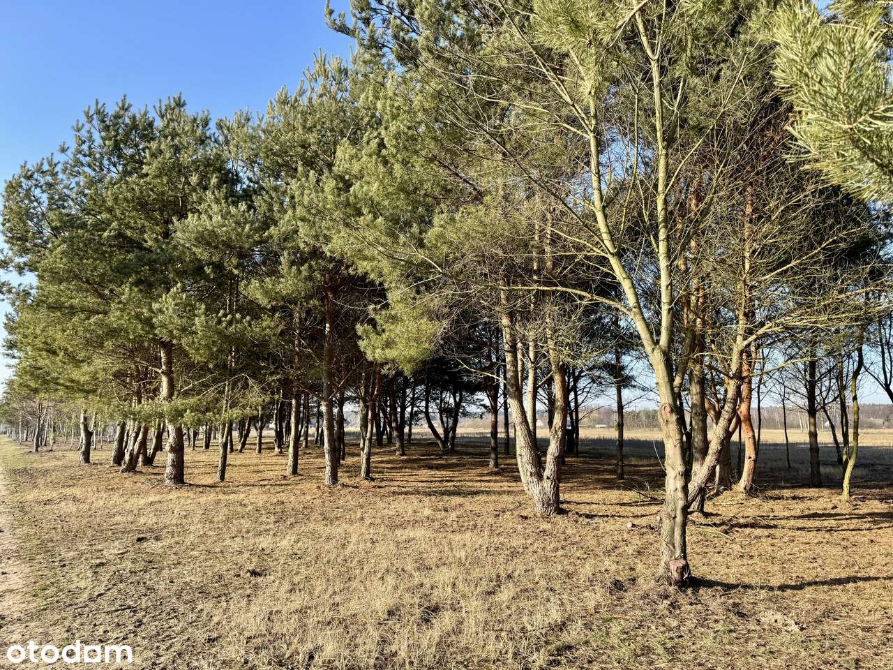 Działki budowlane przy jeziorze Białym-2