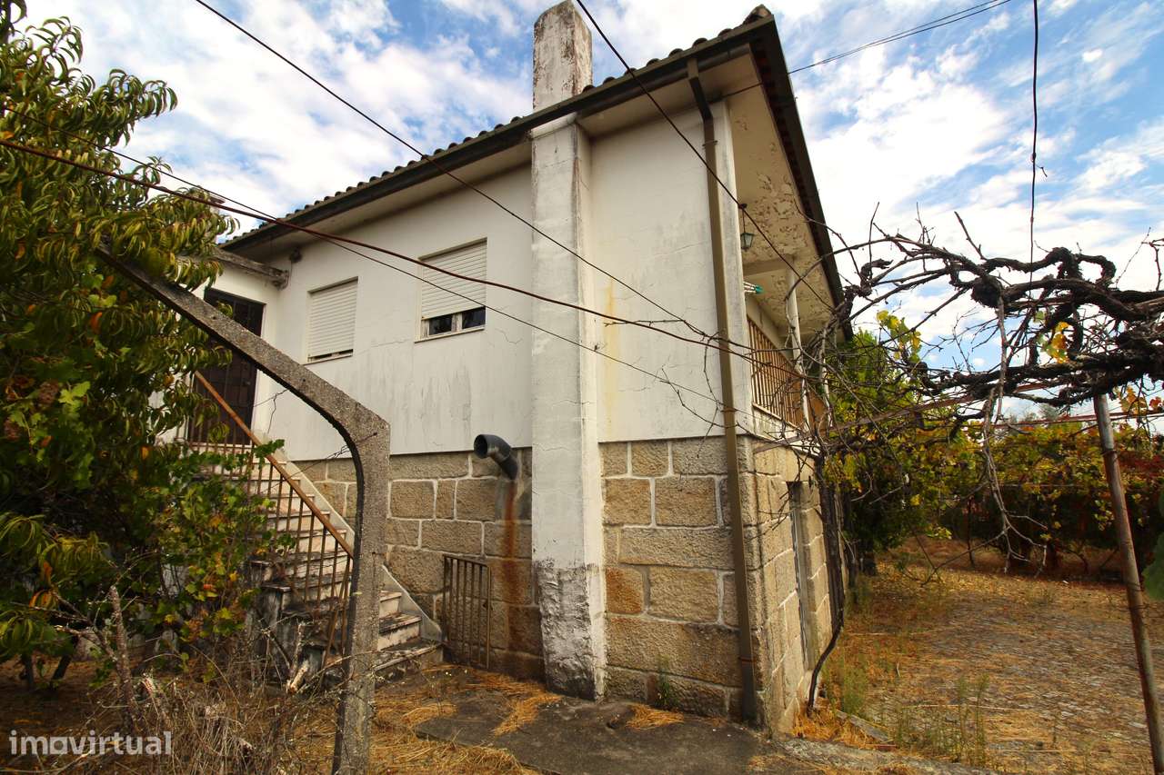 Quinta com 8.000 m² a apenas 10 km do centro de Viseu - Grande imagem: 5/44