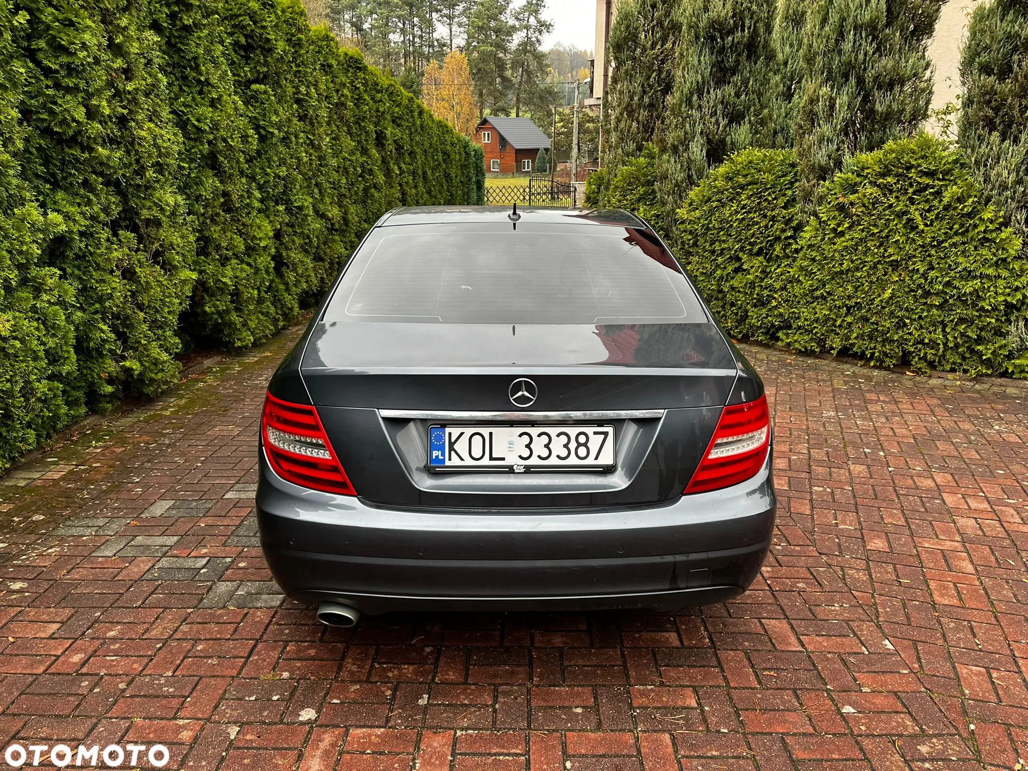 Mercedes-Benz Klasa C 220 CDI BlueEff 4-Matic Elegance - 10