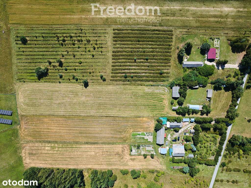 Malownicze siedlisko Żalin, działka 0,92ha. - Pełny obrazek: 5/18