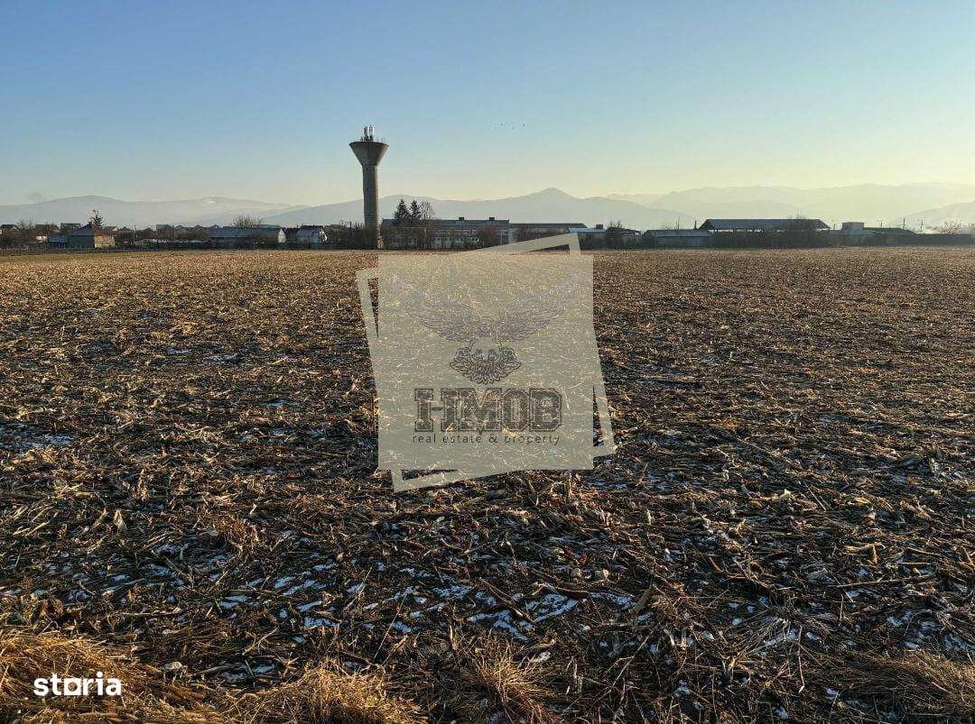 Teren intravilan 7250 mp in Cristian - Imagine principală: 5/5