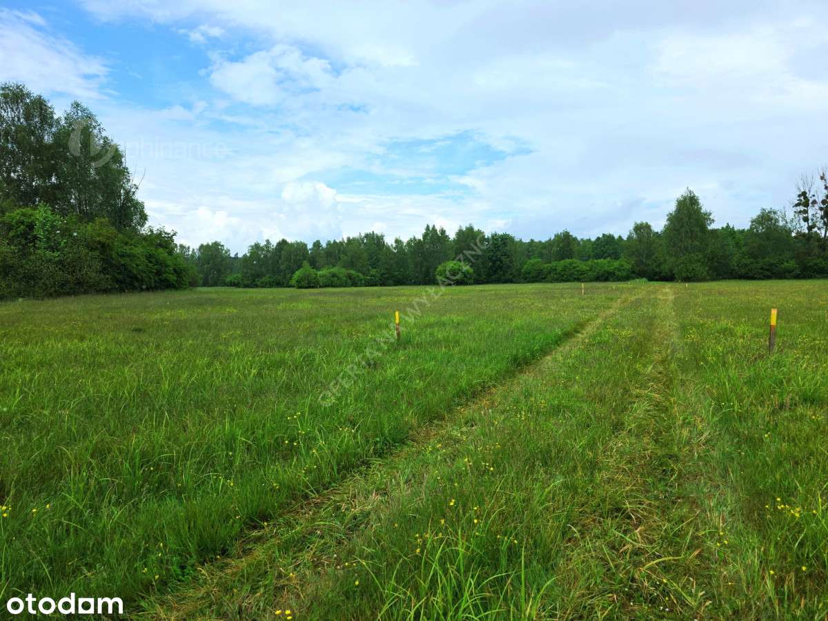 281981 - Pełny obrazek: 5/5