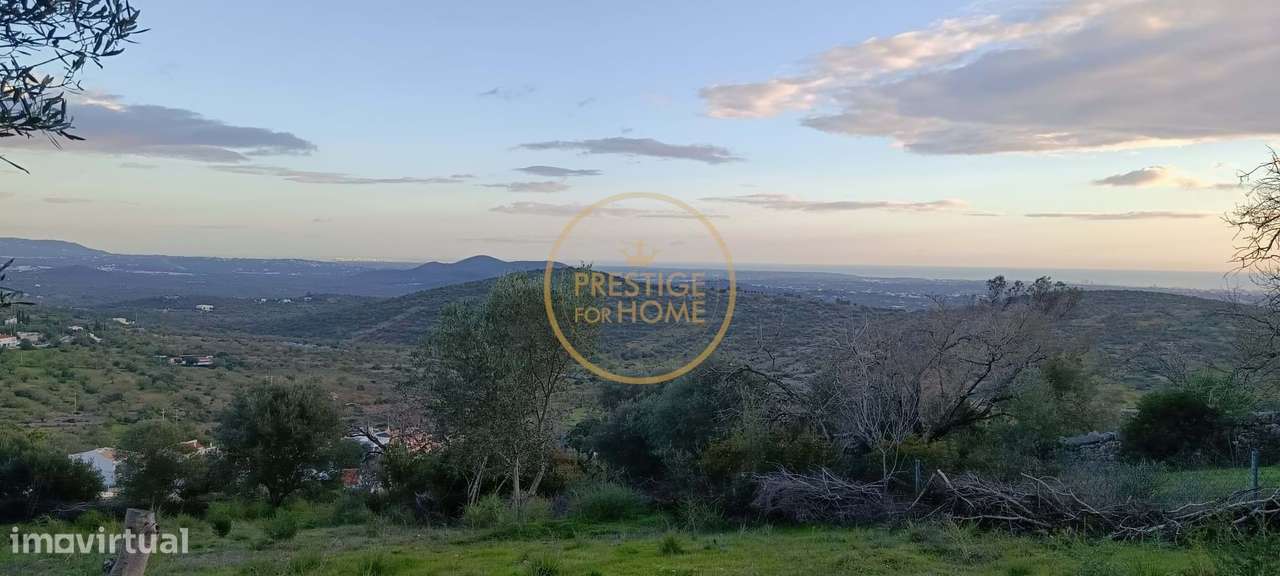 Terreno com ruina e ampla vista aberta da Picota até ao mar-12