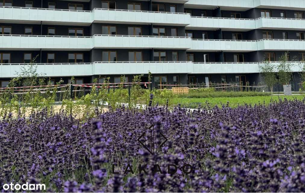 Sunny South Facing Studio with a Balcony!-5