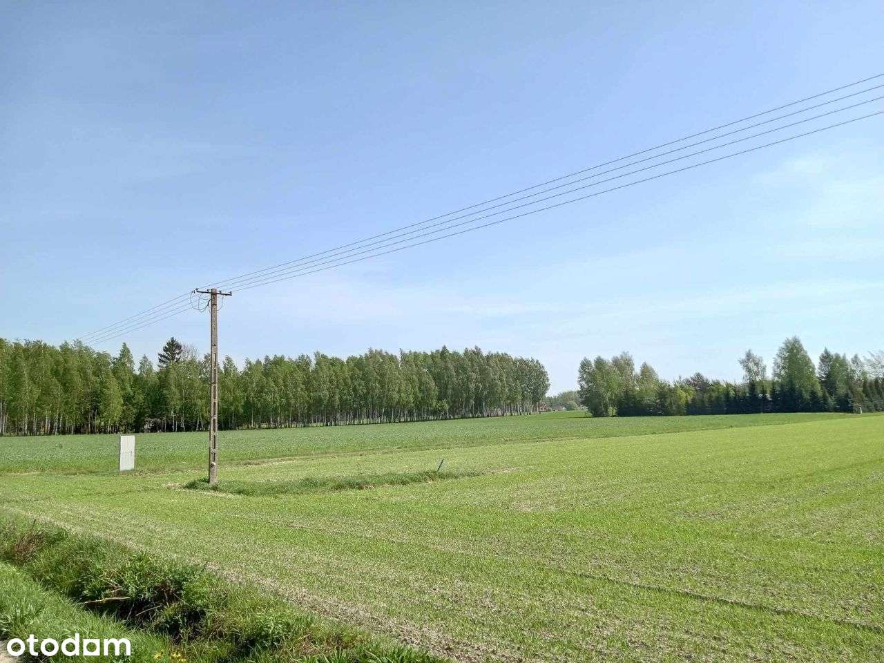 Sprzedam działki budowlane Czarnogłów gm.Dobre-1