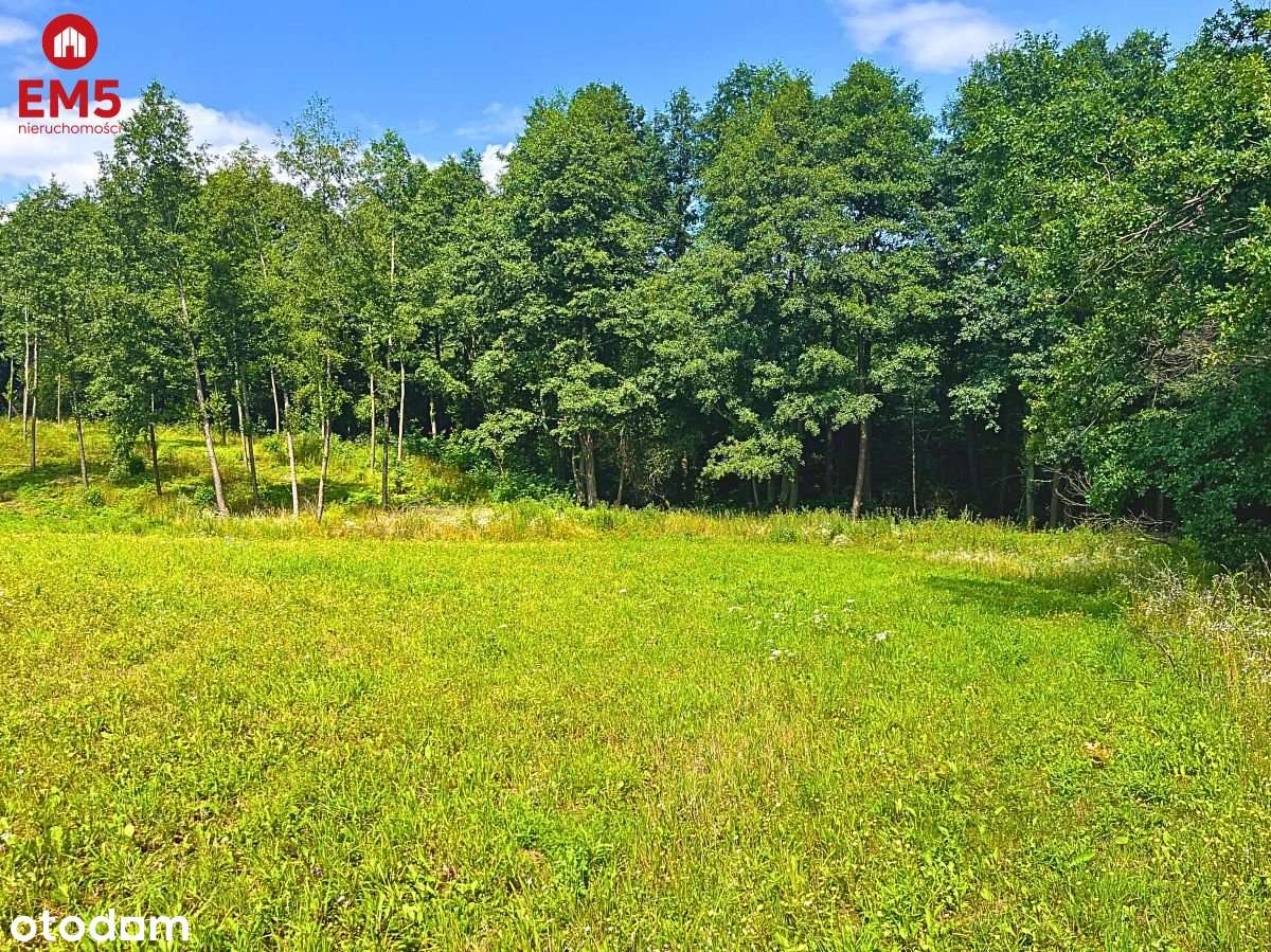 Działka budowlana z dostępem do jeziora - Mazury - Pełny obrazek: 4/5