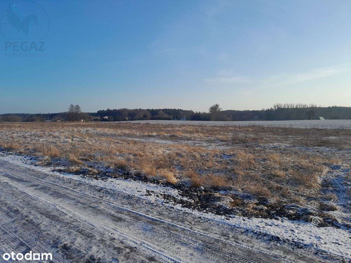 Urokliwe działki budowlane w Kuźniku pod lasem.-0